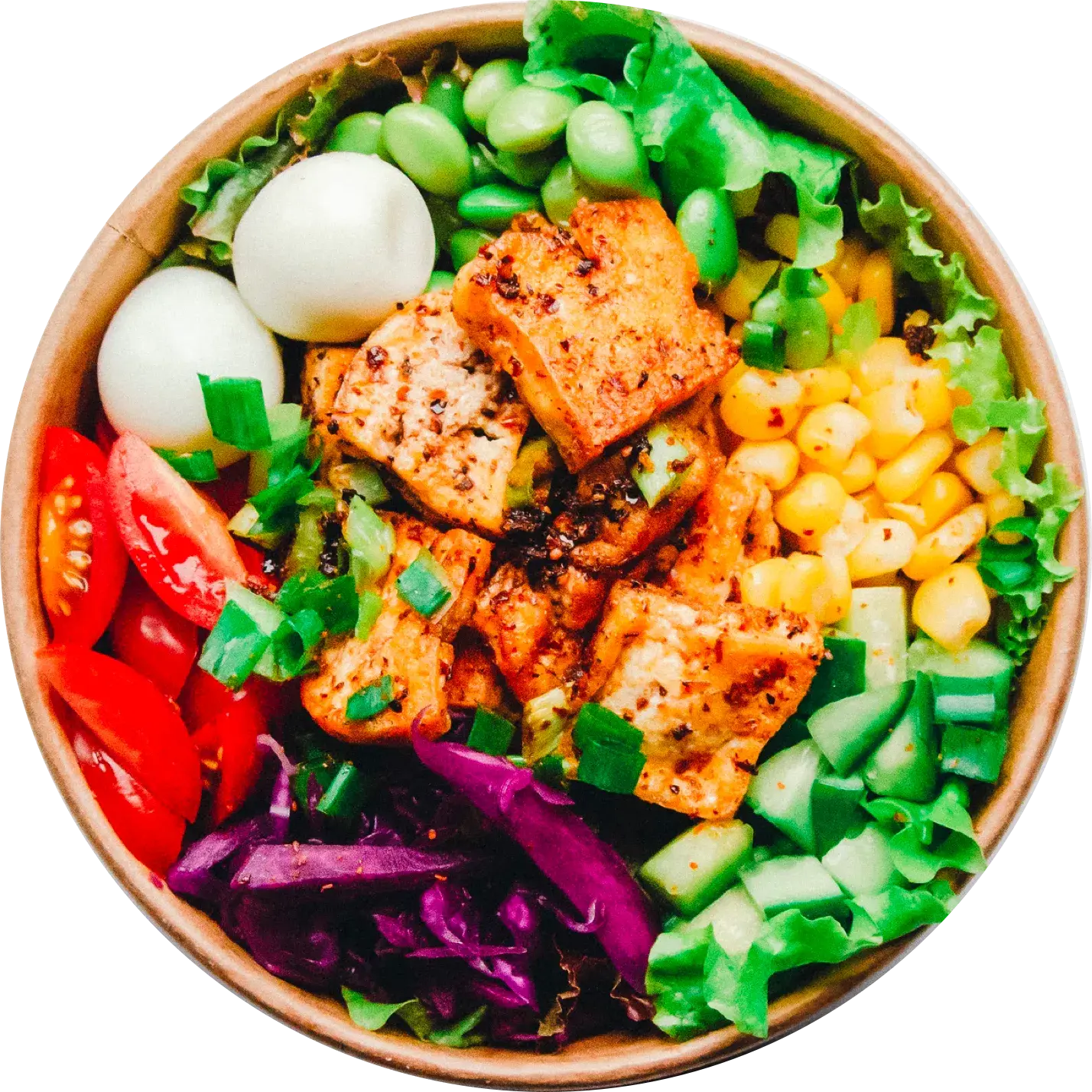 Bowl of healthy, delicious salad with tofu.